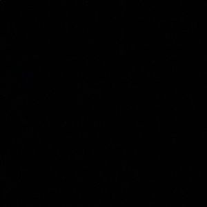 Meet your Posher, Paige